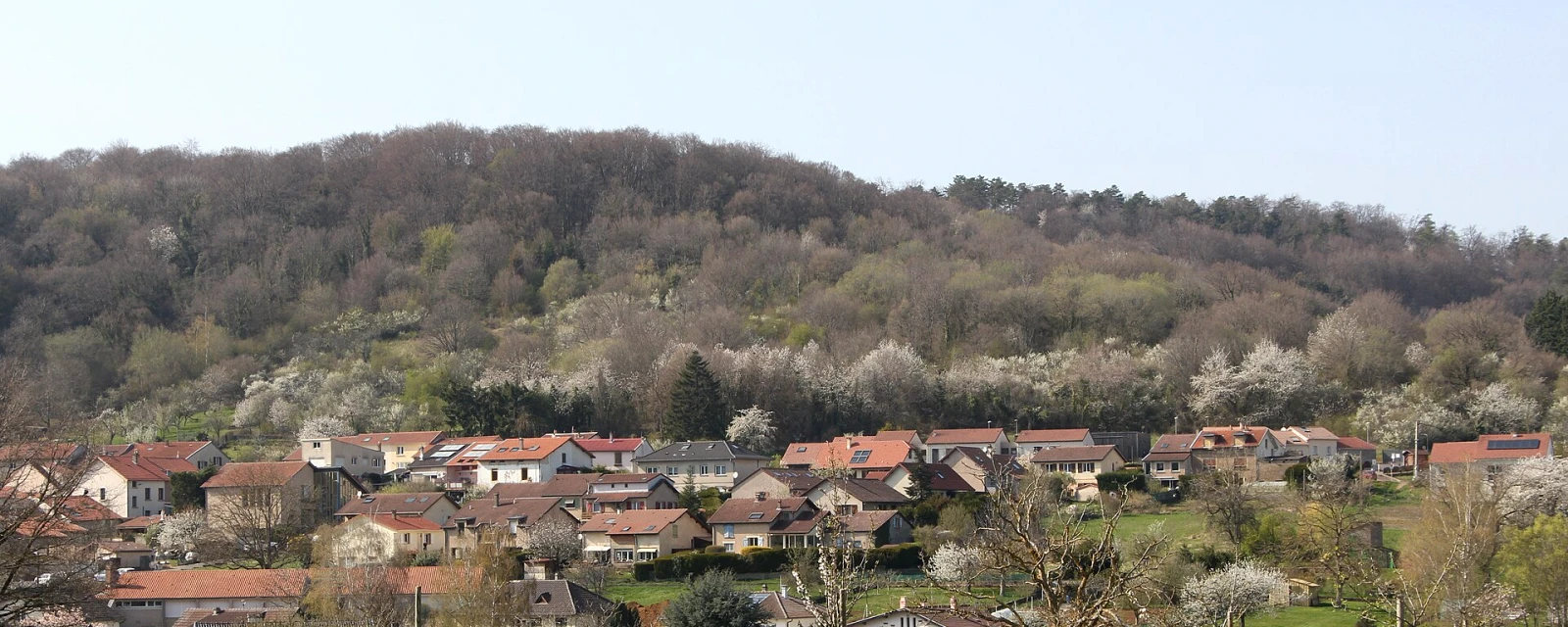 Vue de Plesnois, Moselle