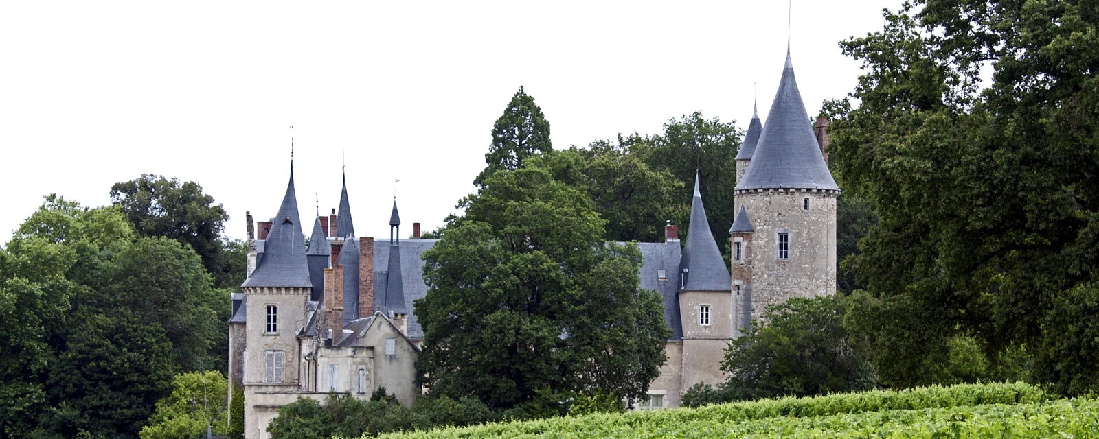 Vue de Tracy-sur-Loire, Nièvre