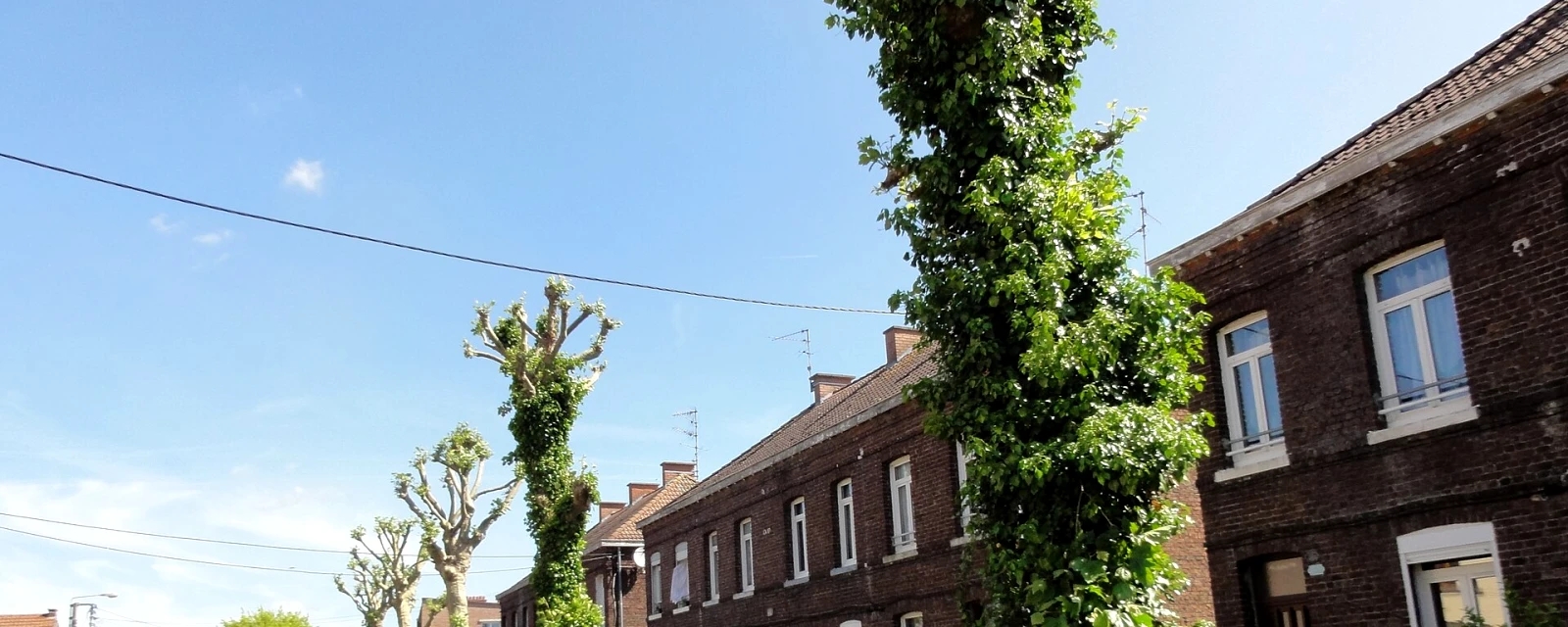 Vue de Quiévrechain, Nord