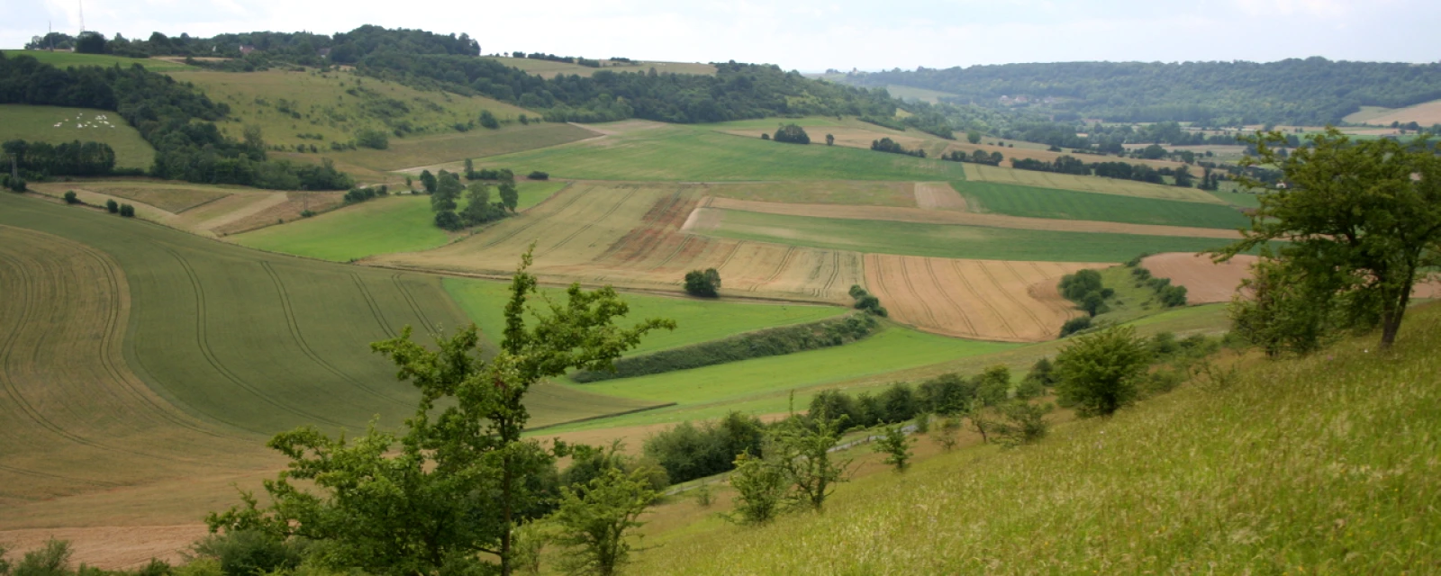 Vue de Saint-Pierre-es-Champs, Oise