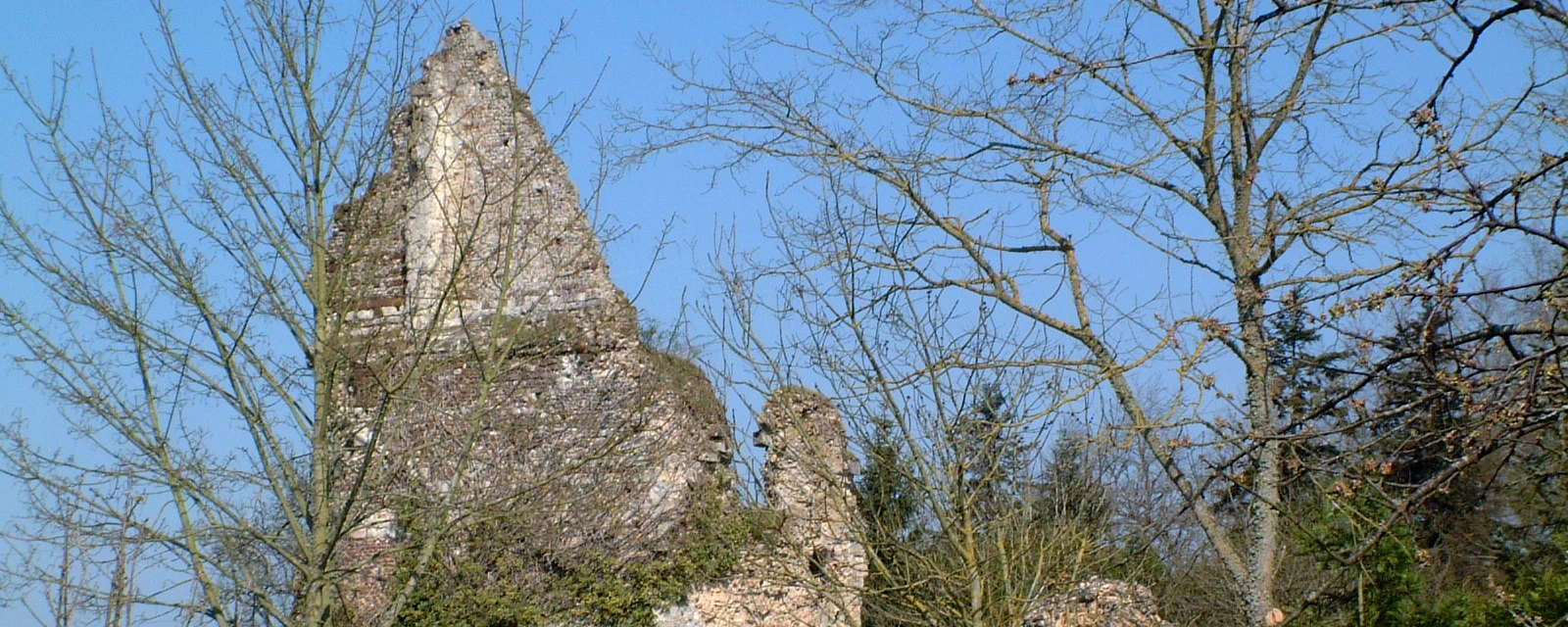 Vue de Bonsmoulins, Orne