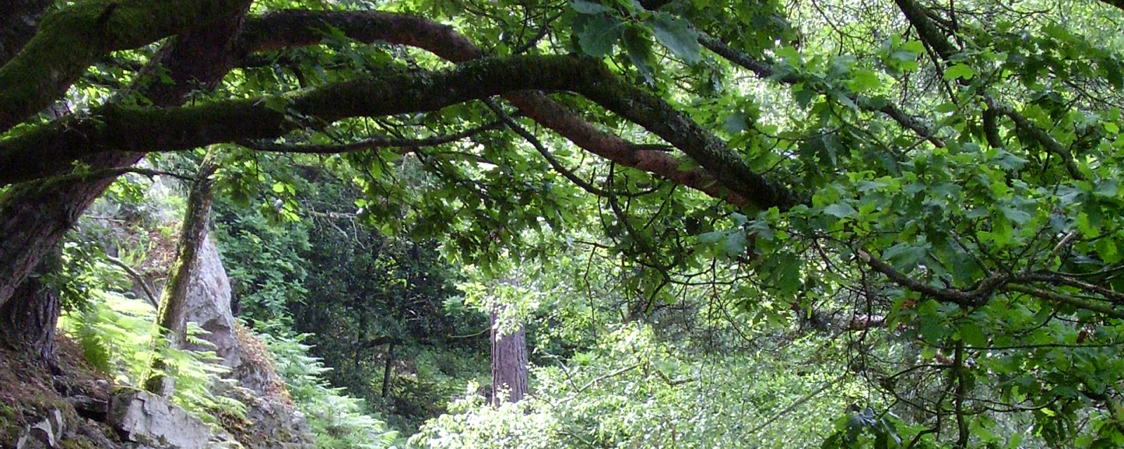 Vue de Saint-Ouen-le-Brisoult, Orne