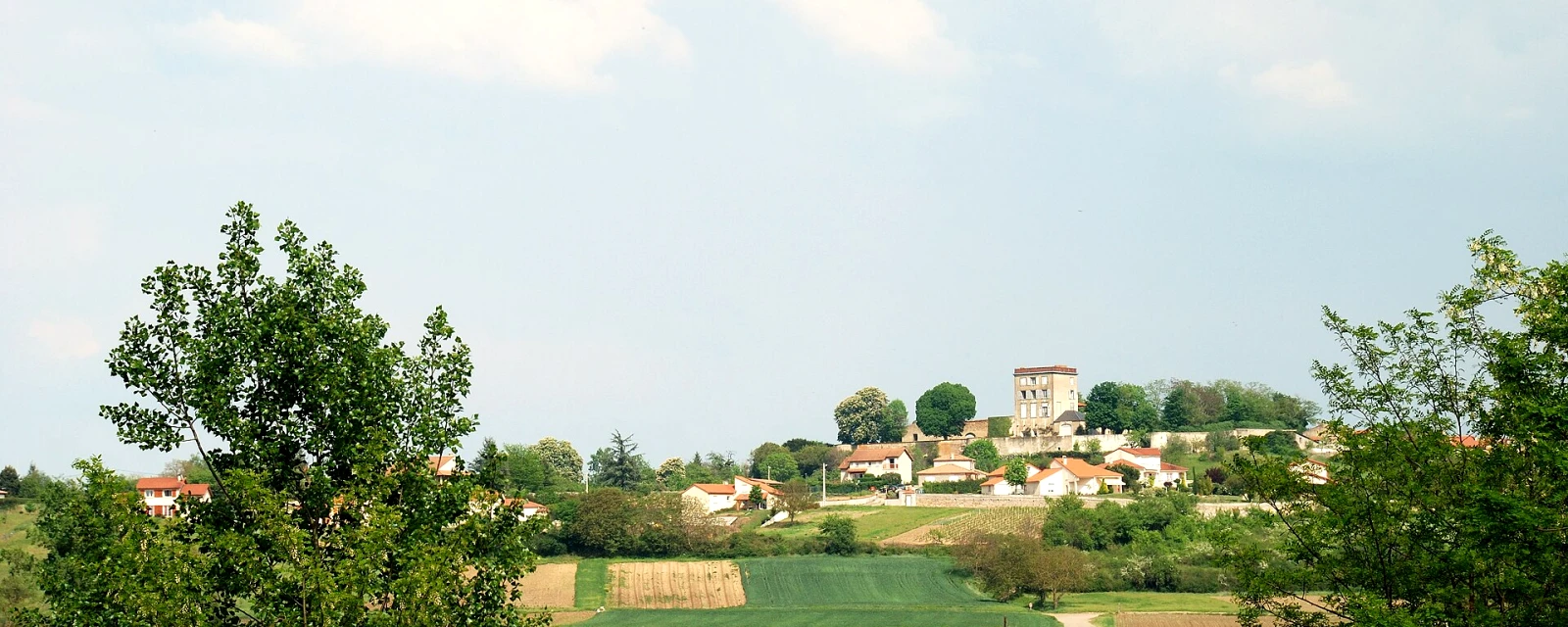Vue de Beauregard-l'Évêque, Puy-de-Dôme
