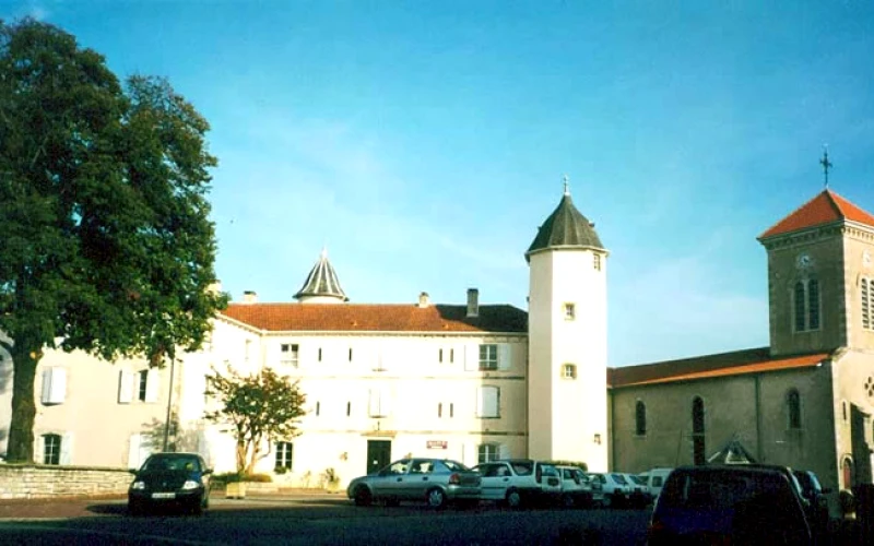 Bardos