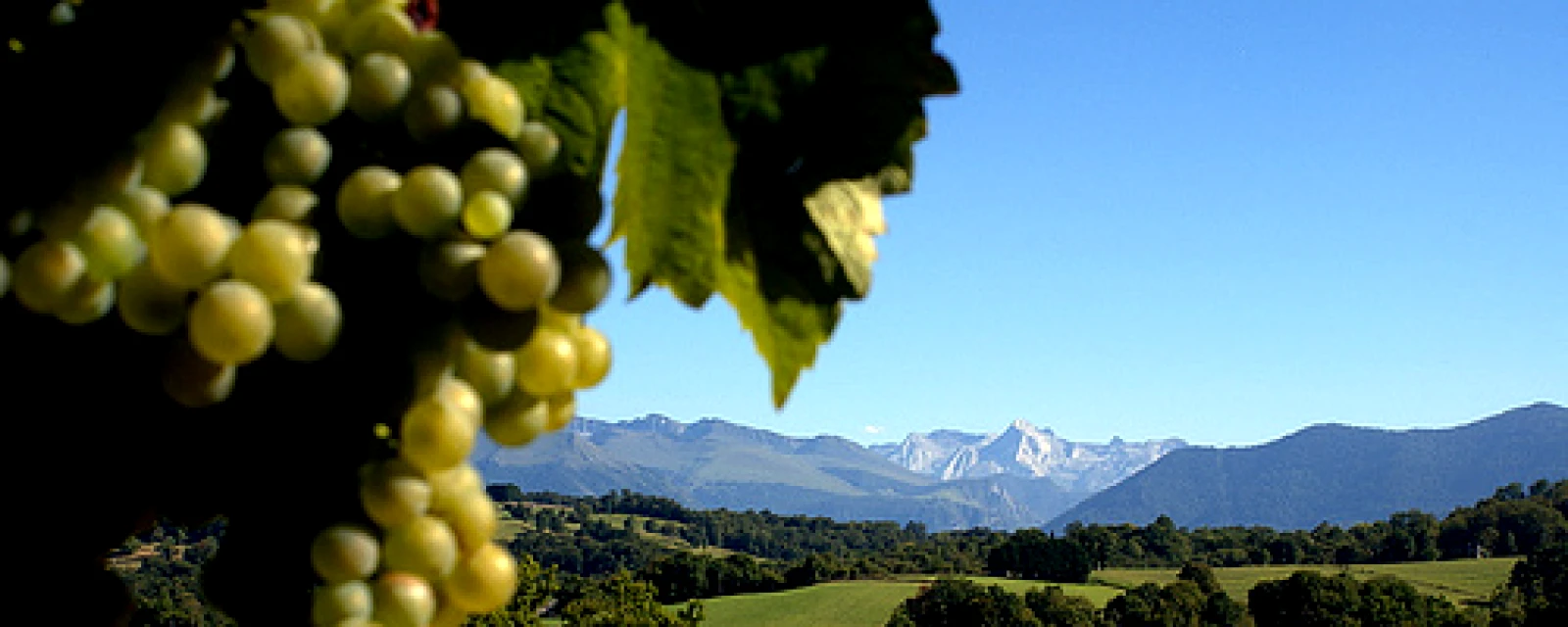 Vue de Lasseubetat, Pyrénées-Atlantiques