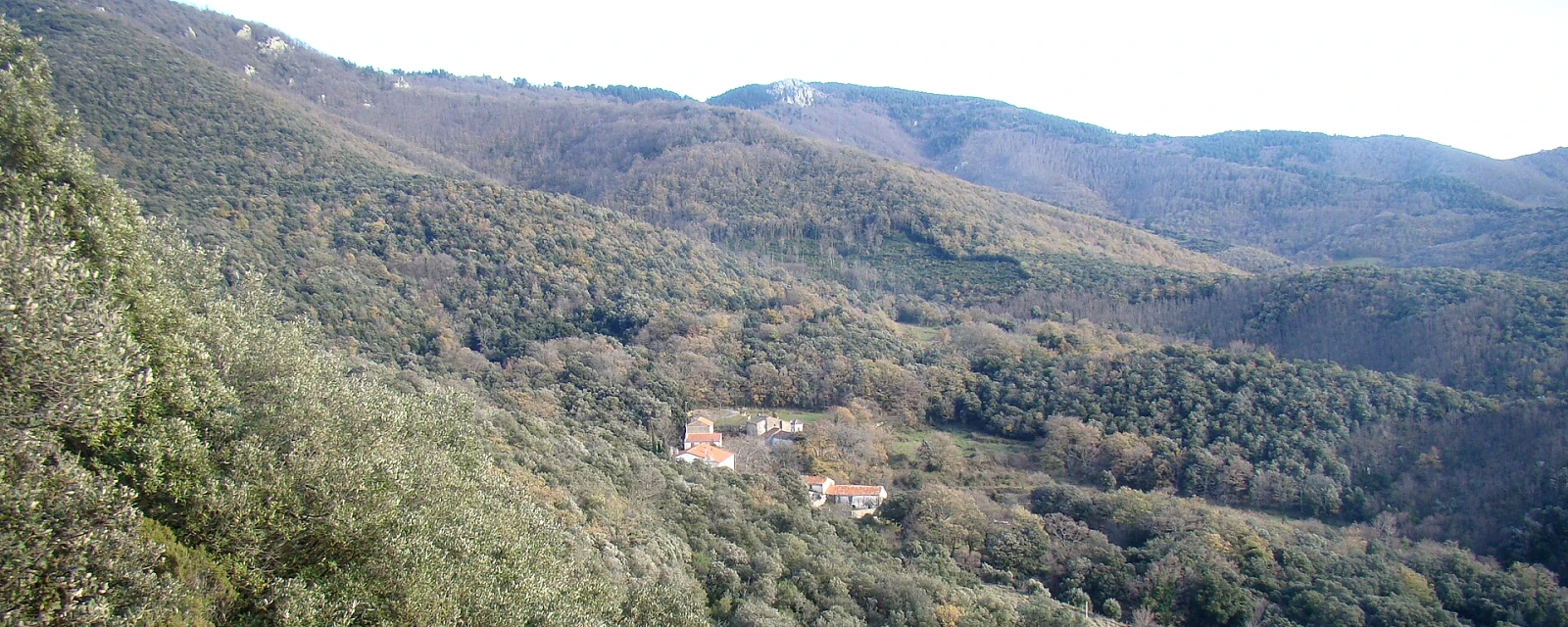 Vue de L'Albère, Pyrénées-Orientales