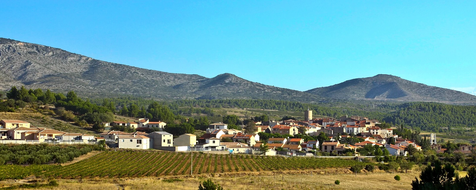Vue de Cases-de-Pène, Pyrénées-Orientales