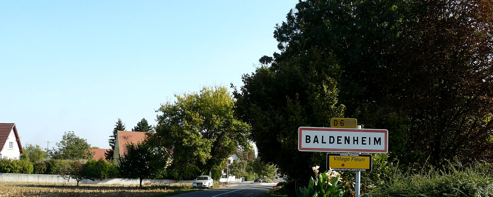 Vue de Baldenheim, Bas-Rhin