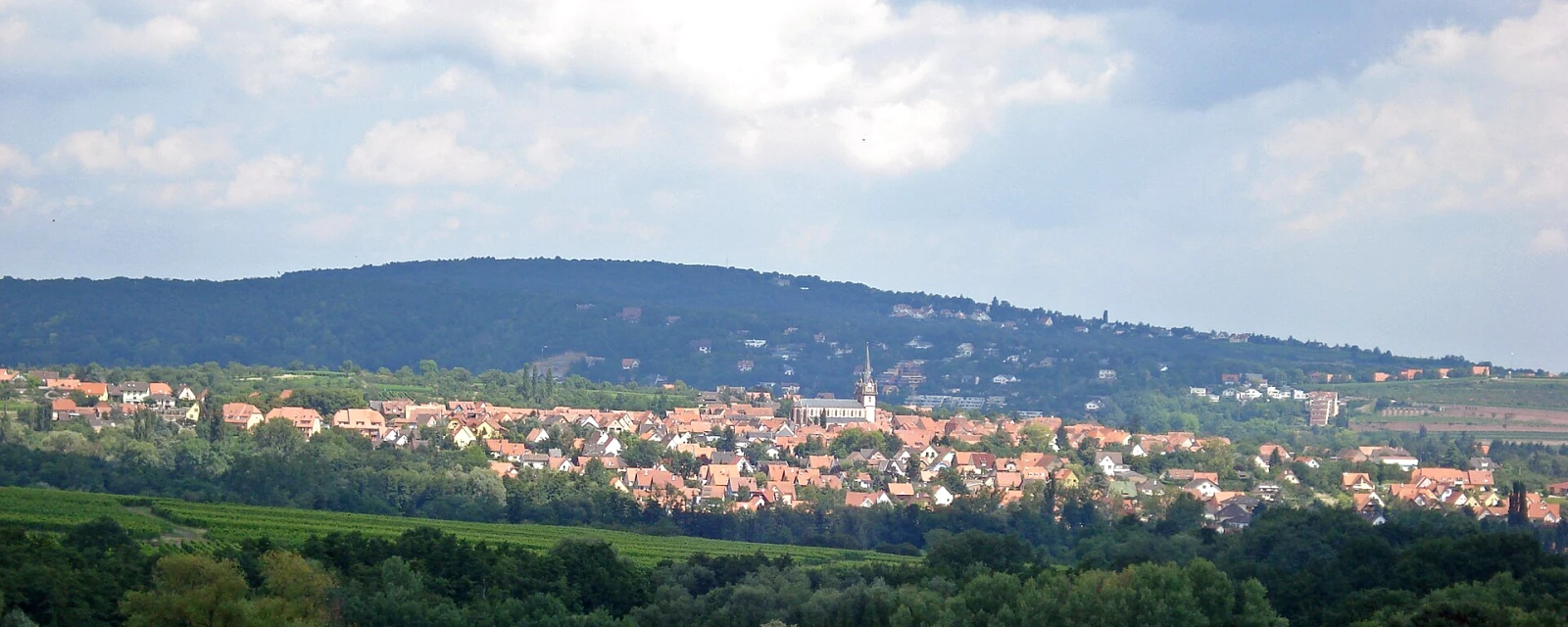 Vue de Bernardswiller, Bas-Rhin