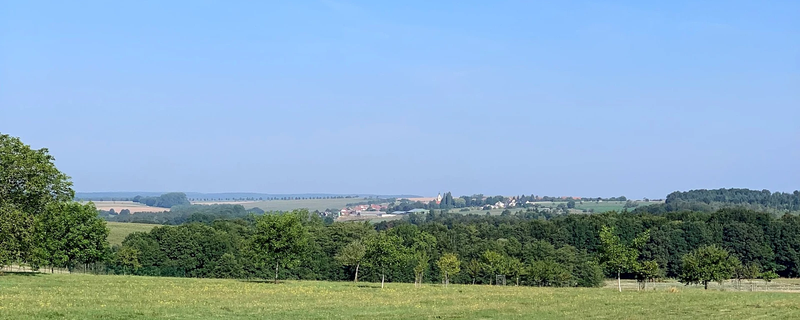 Vue de Bust, Bas-Rhin