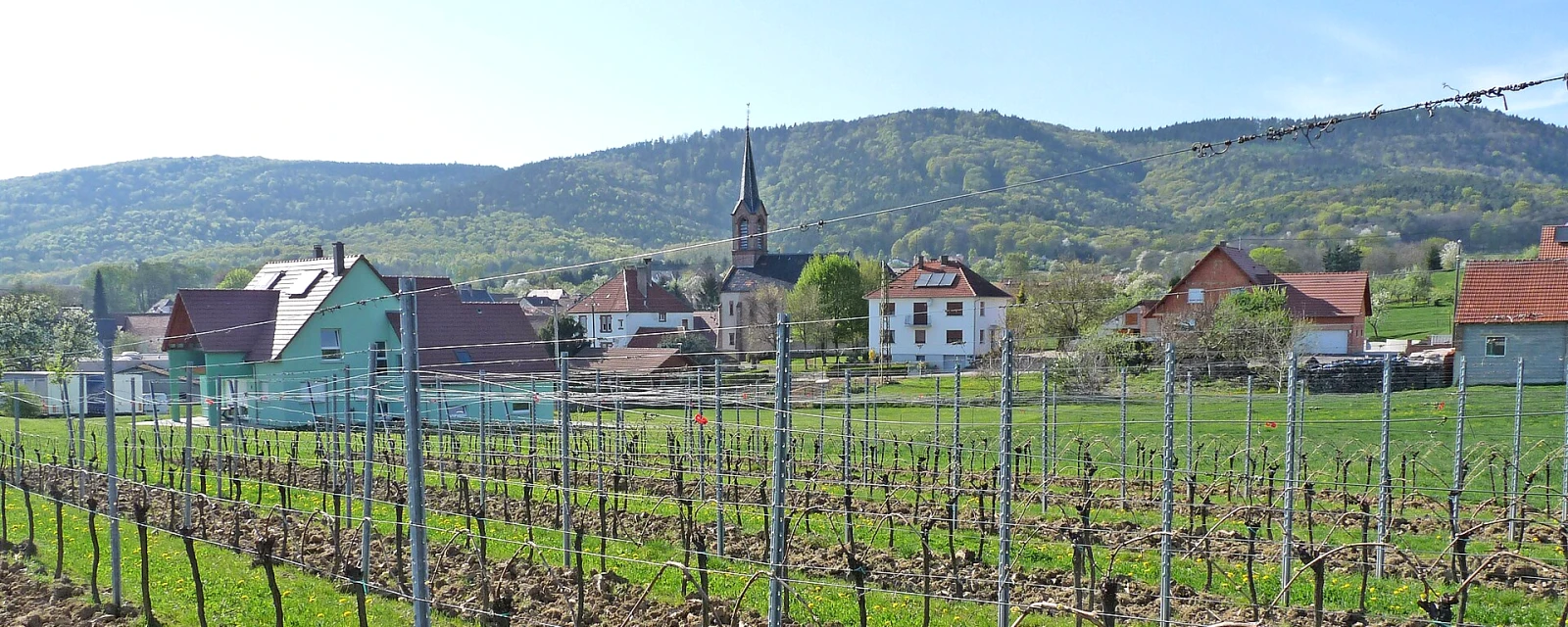Vue de Cleebourg, Bas-Rhin