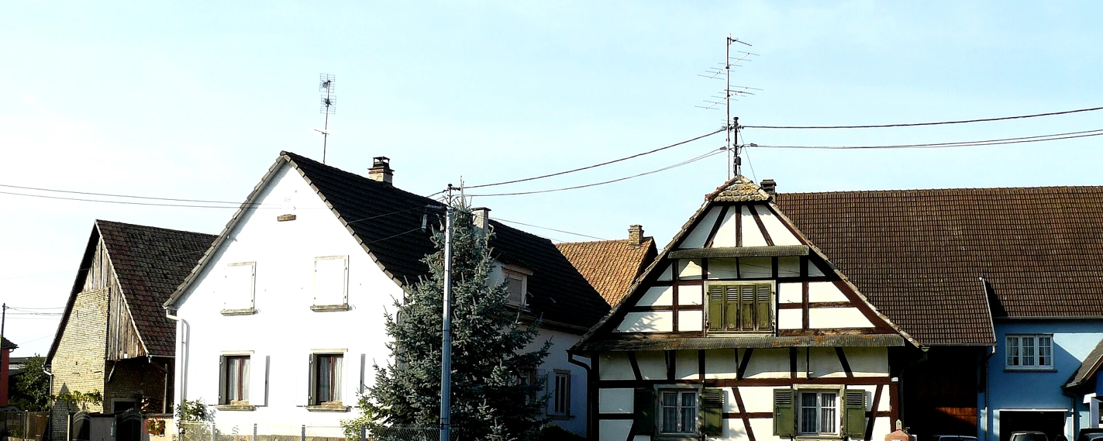 Vue de Friesenheim, Bas-Rhin