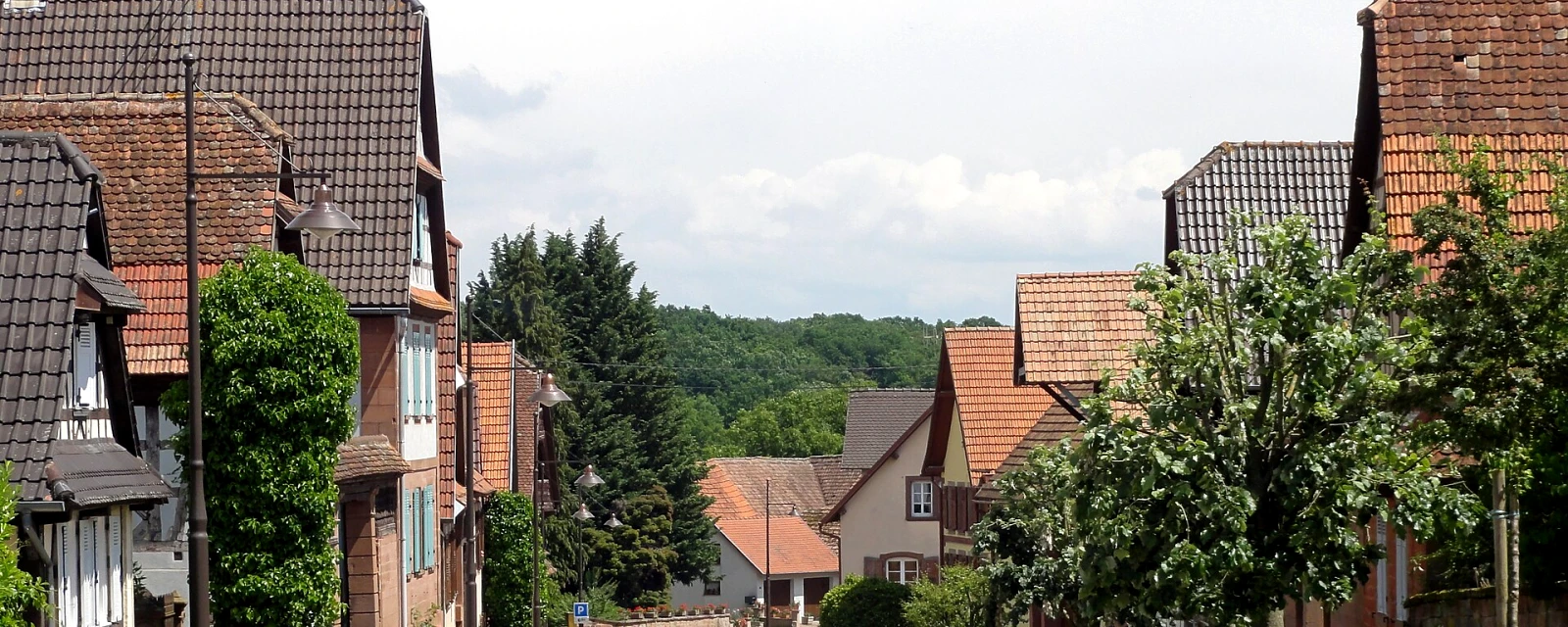 Vue de Geiswiller-Zœbersdorf, Bas-Rhin