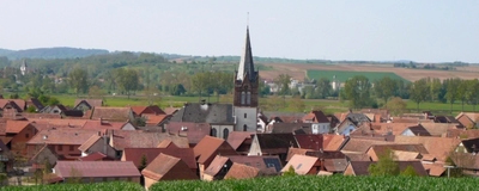 Vue de Ingenheim, Bas-Rhin