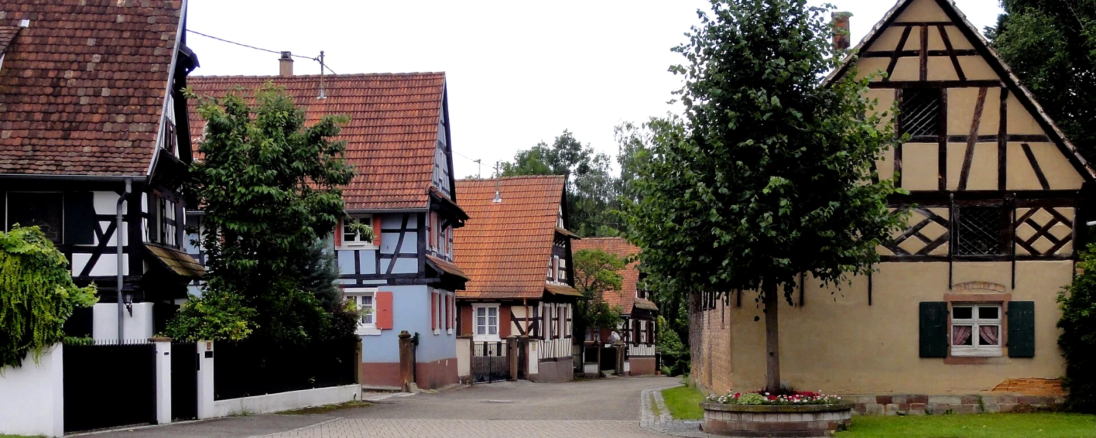 Vue de Kauffenheim, Bas-Rhin