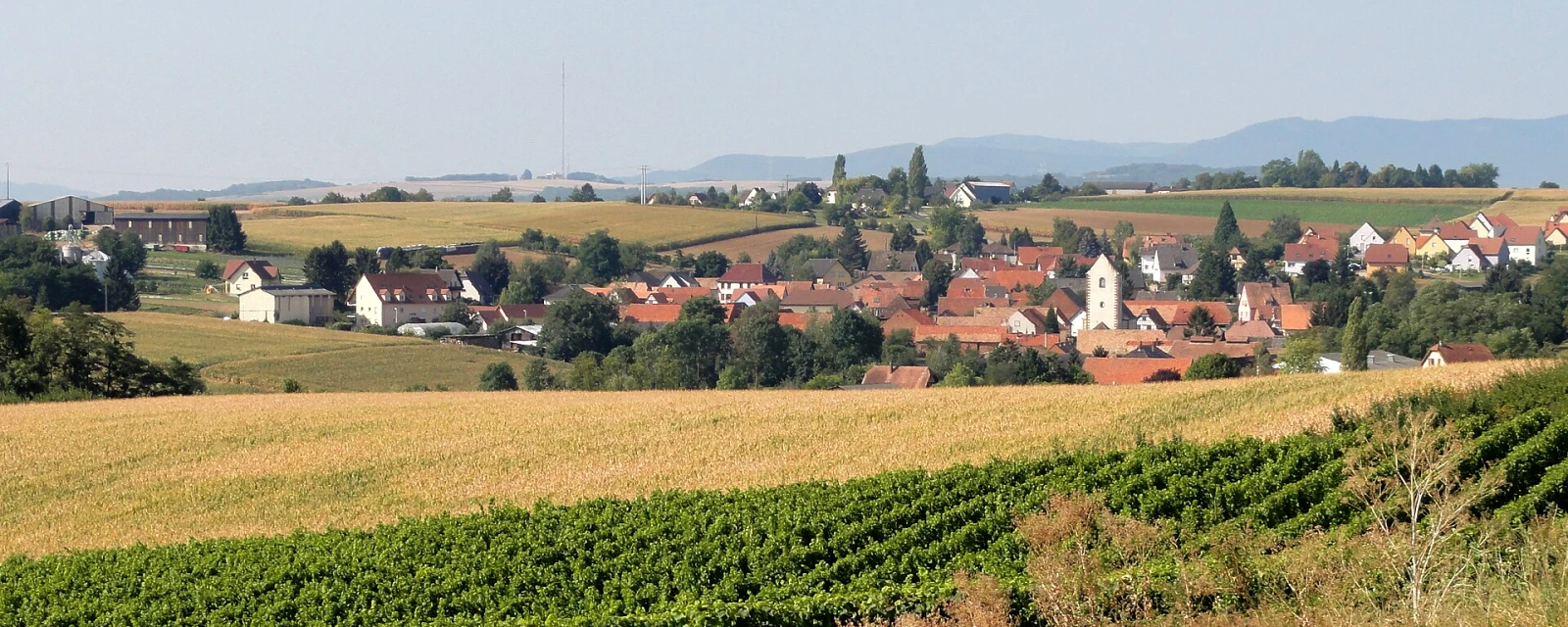 Vue de Kienheim, Bas-Rhin