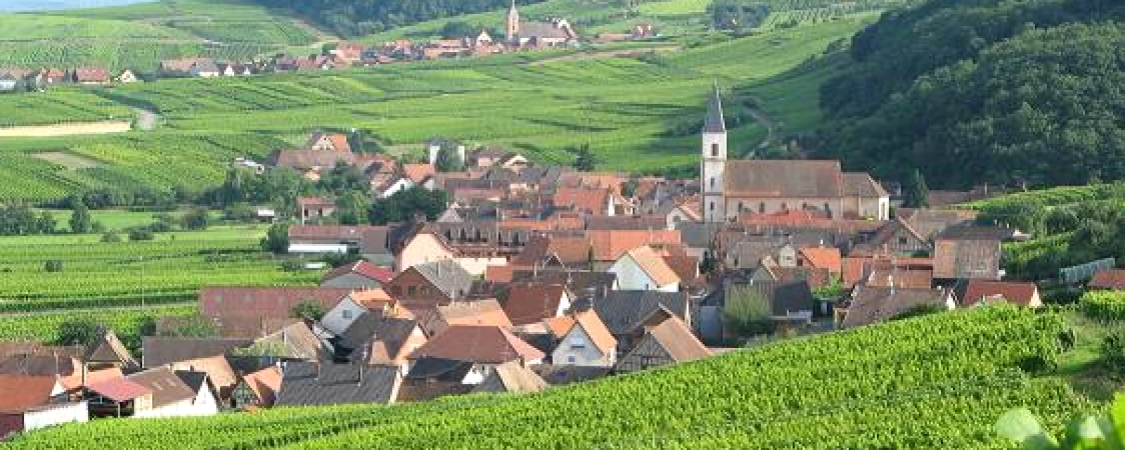 Vue de Nothalten, Bas-Rhin
