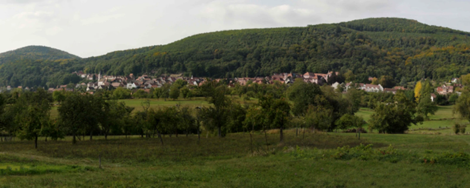 Vue de Oberbronn, Bas-Rhin