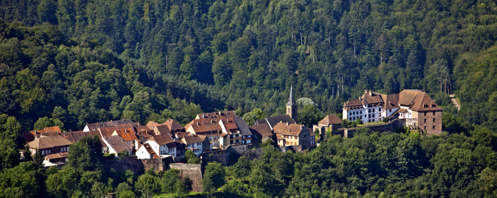 Vue de La Petite-Pierre, Bas-Rhin