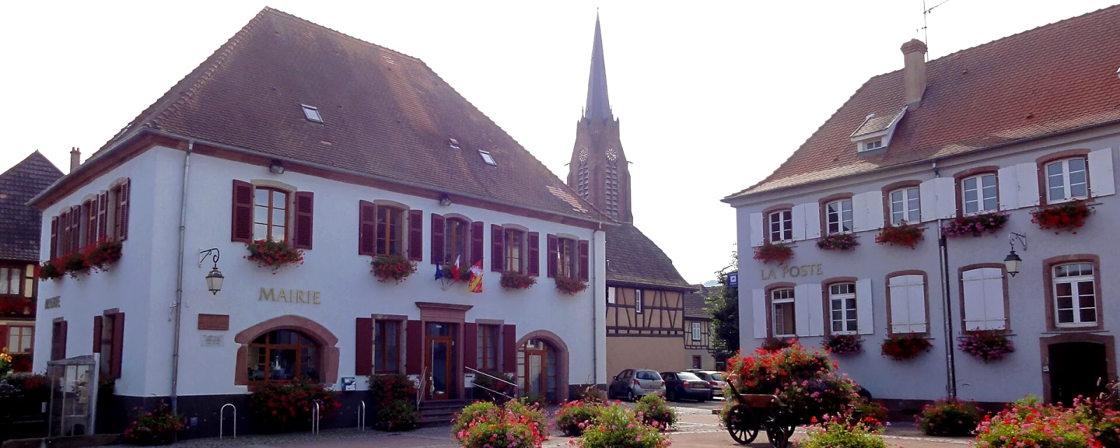 Vue de Scherwiller, Bas-Rhin