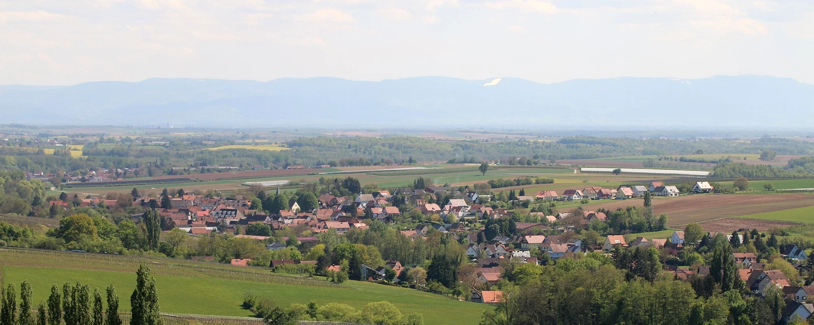 Vue de Steinseltz, Bas-Rhin
