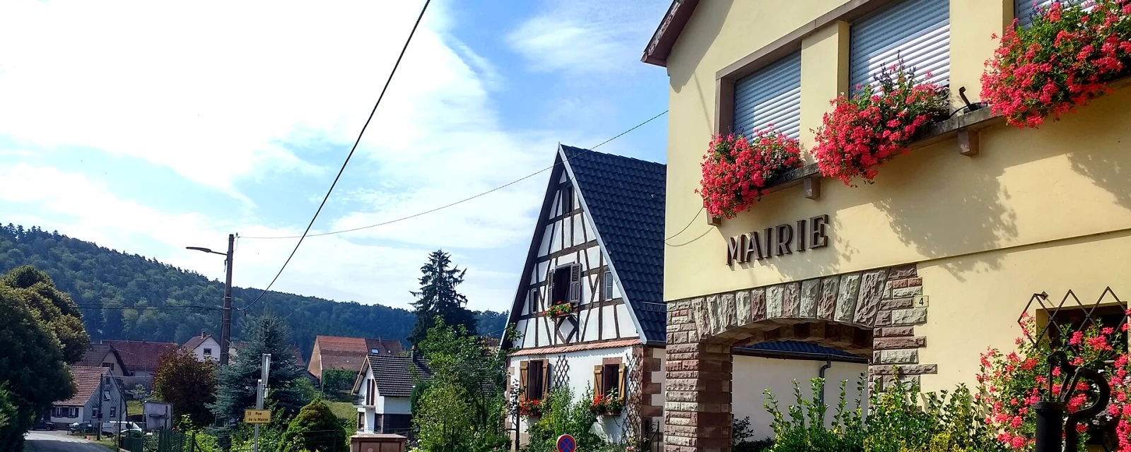 Vue de Zittersheim, Bas-Rhin