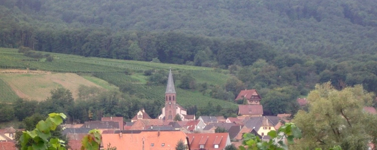 Vue de Bergholtzzell, Haut-Rhin