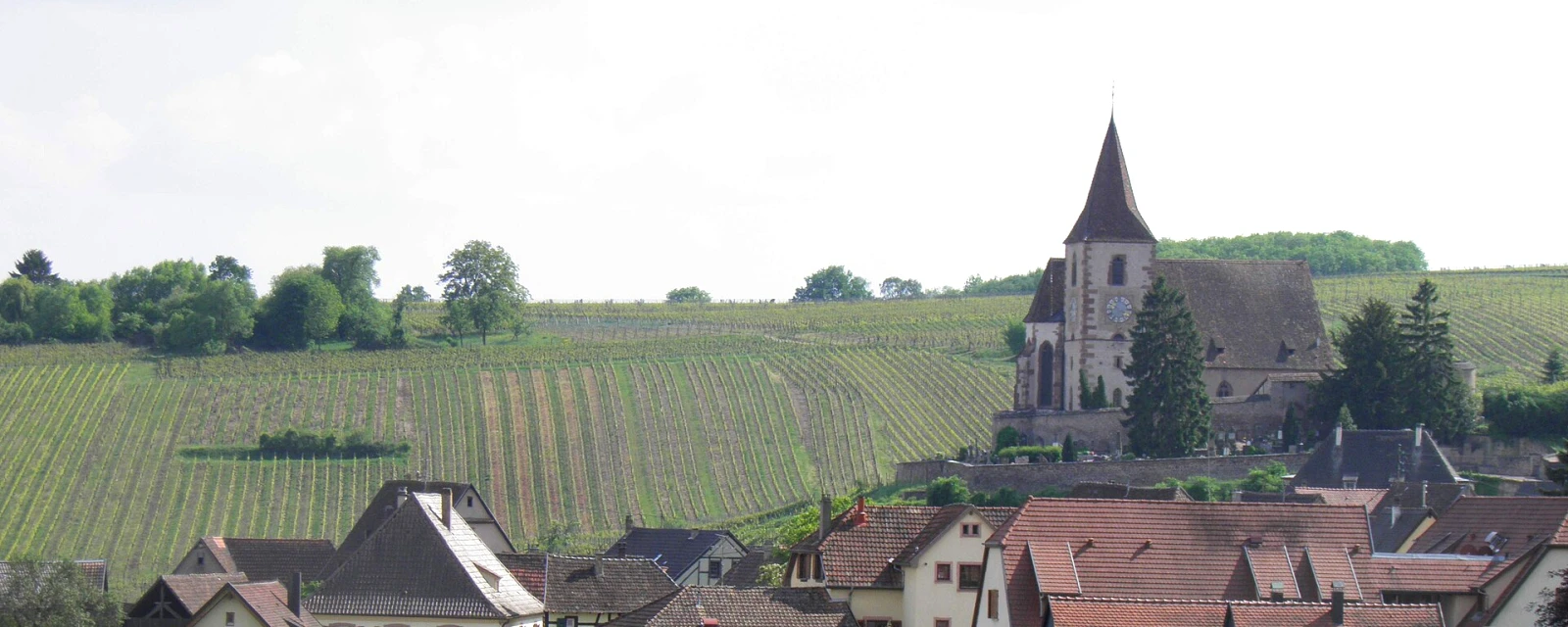 Vue de Hunawihr, Haut-Rhin