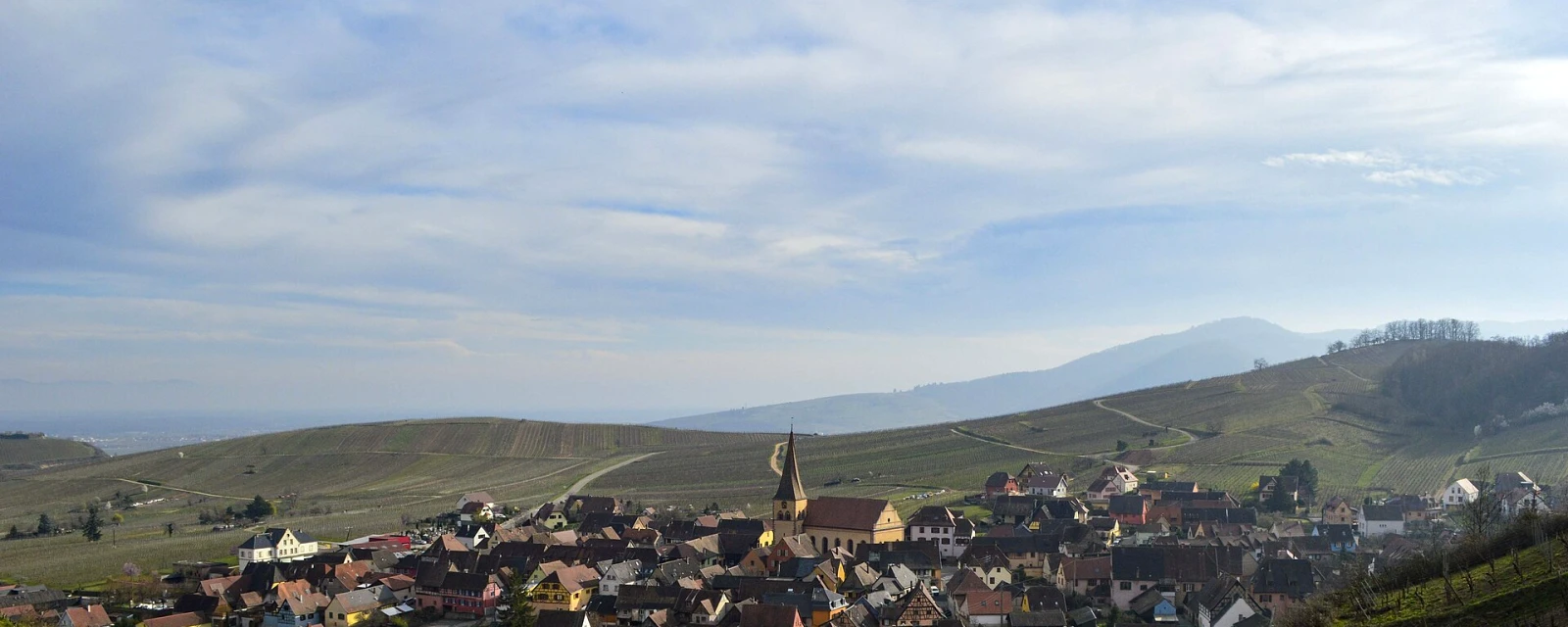 Vue de Niedermorschwihr, Haut-Rhin
