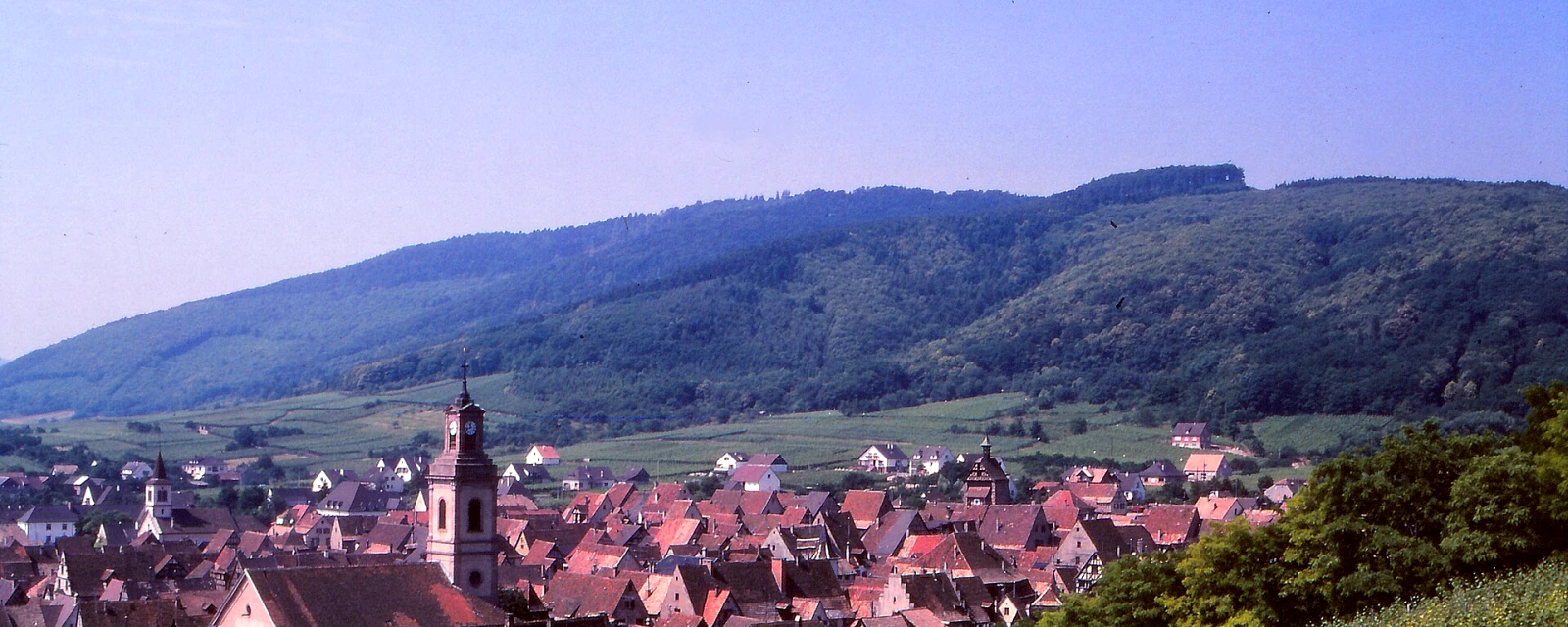 Vue de Riquewihr, Haut-Rhin