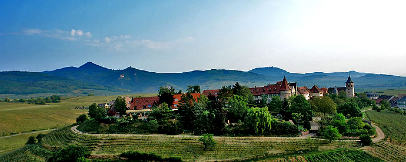 Vue de Zellenberg, Haut-Rhin