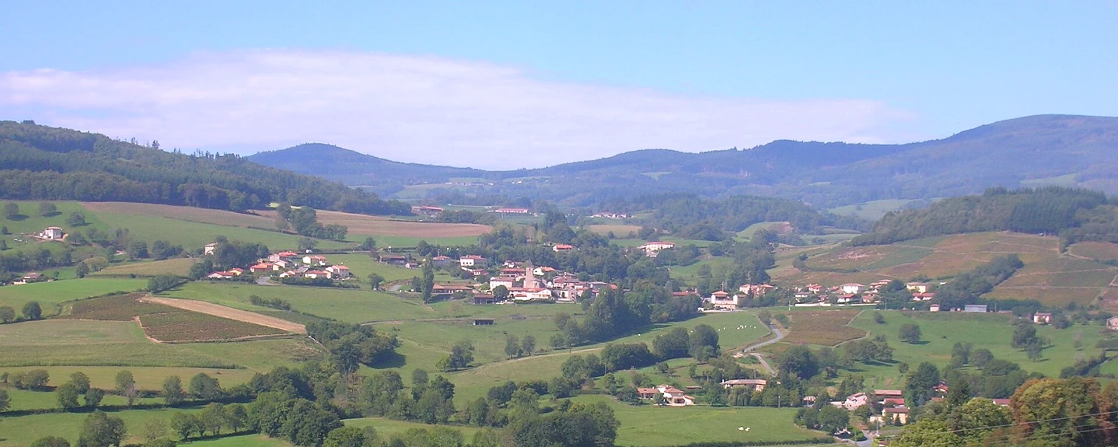 Vue de Les Ardillats, Rhône