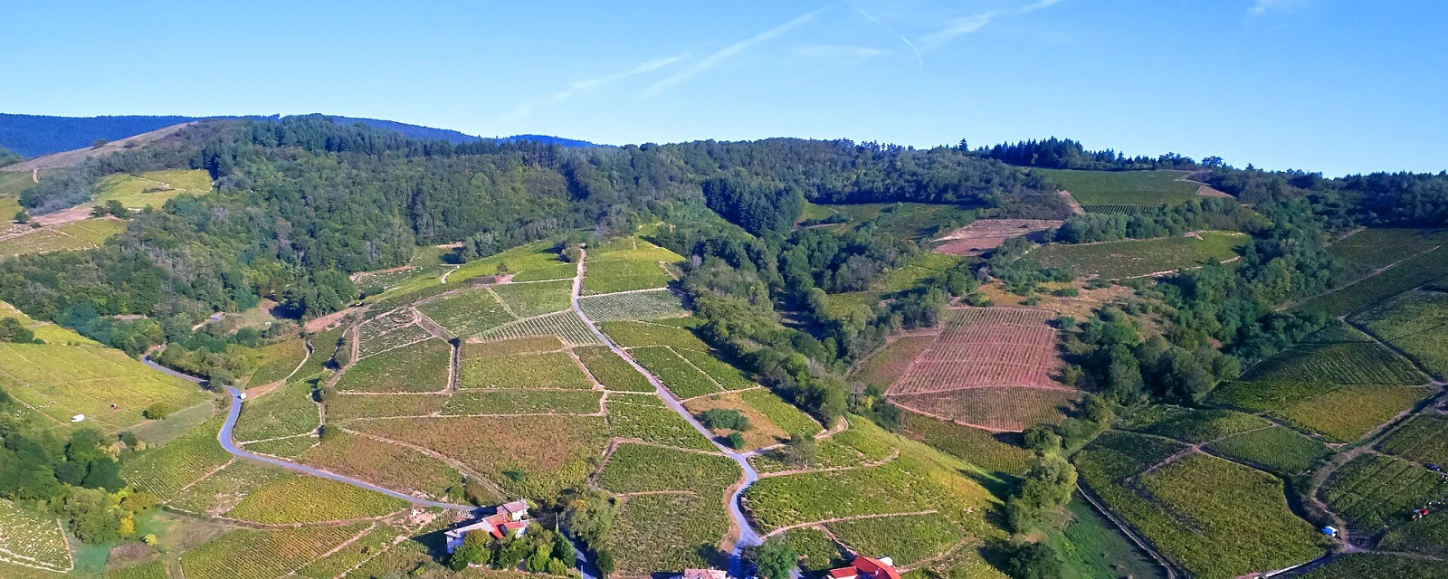 Vue de Chiroubles, Rhône