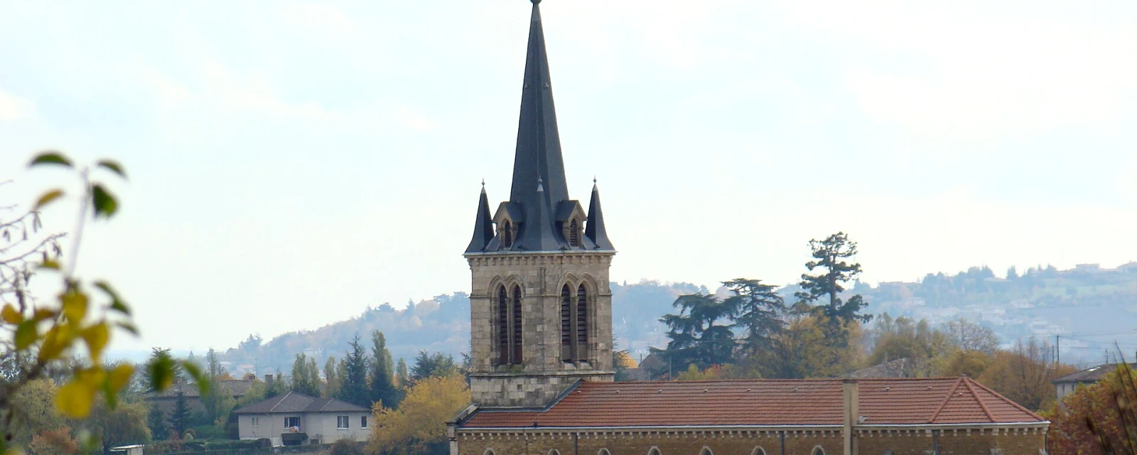 Vue de Denicé, Rhône