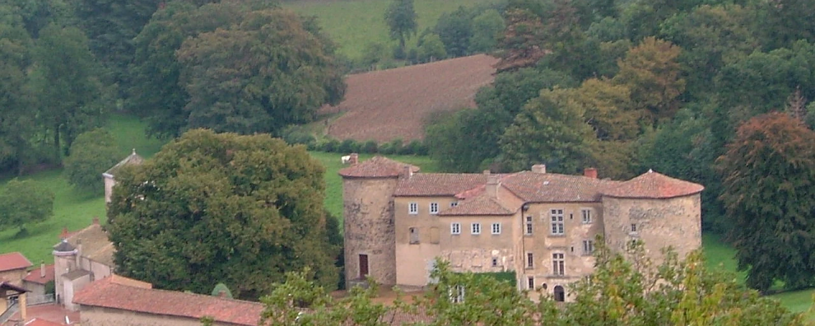 Vue de Joux, Rhône