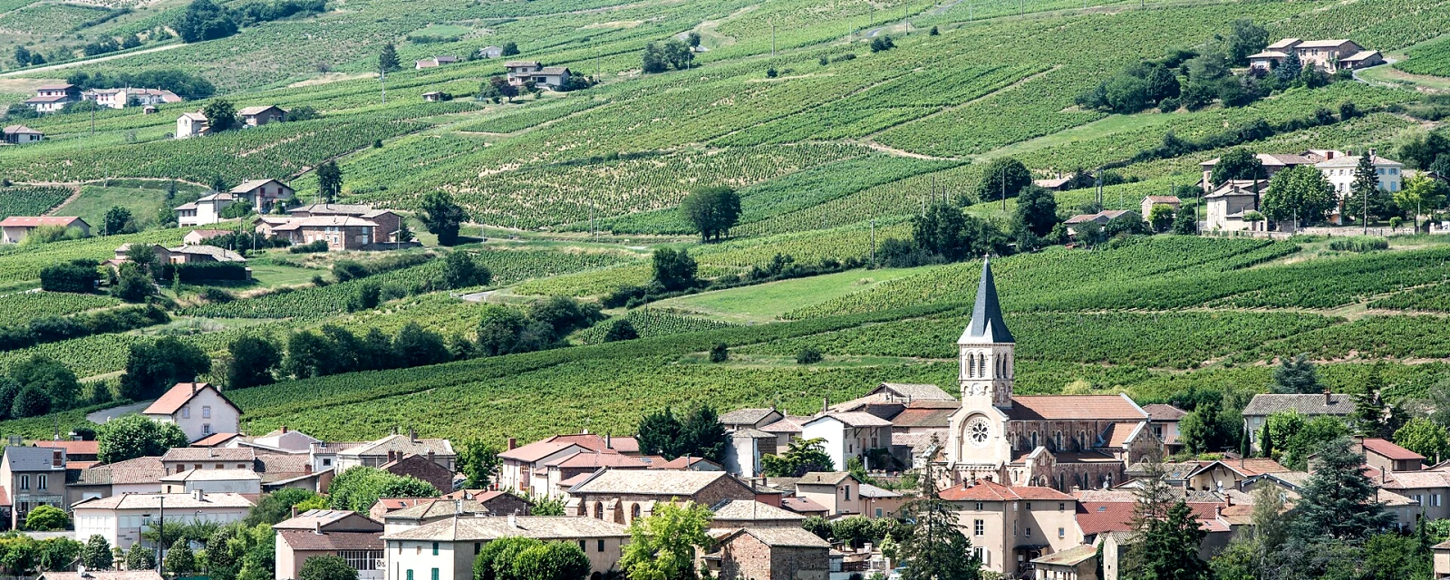 Vue de Juliénas, Rhône