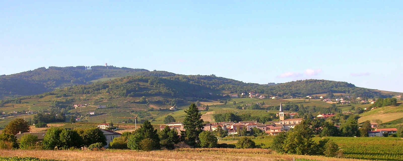 Vue de Lantignié, Rhône