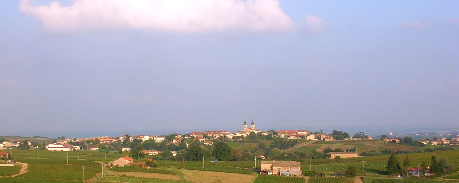 Vue de Régnié-Durette, Rhône