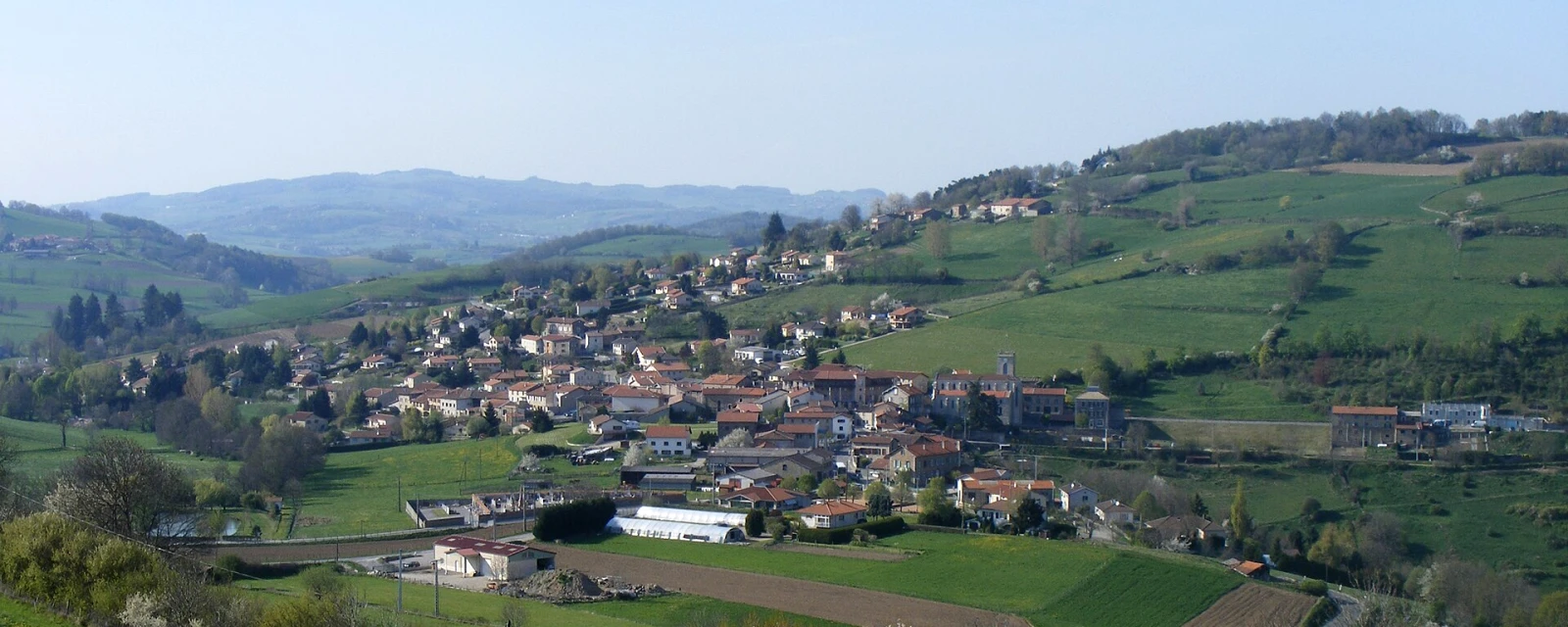 Vue de Sainte-Catherine, Rhône