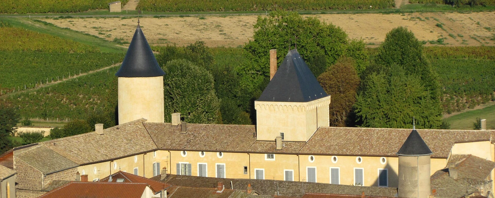 Vue de Saint-Lager, Rhône