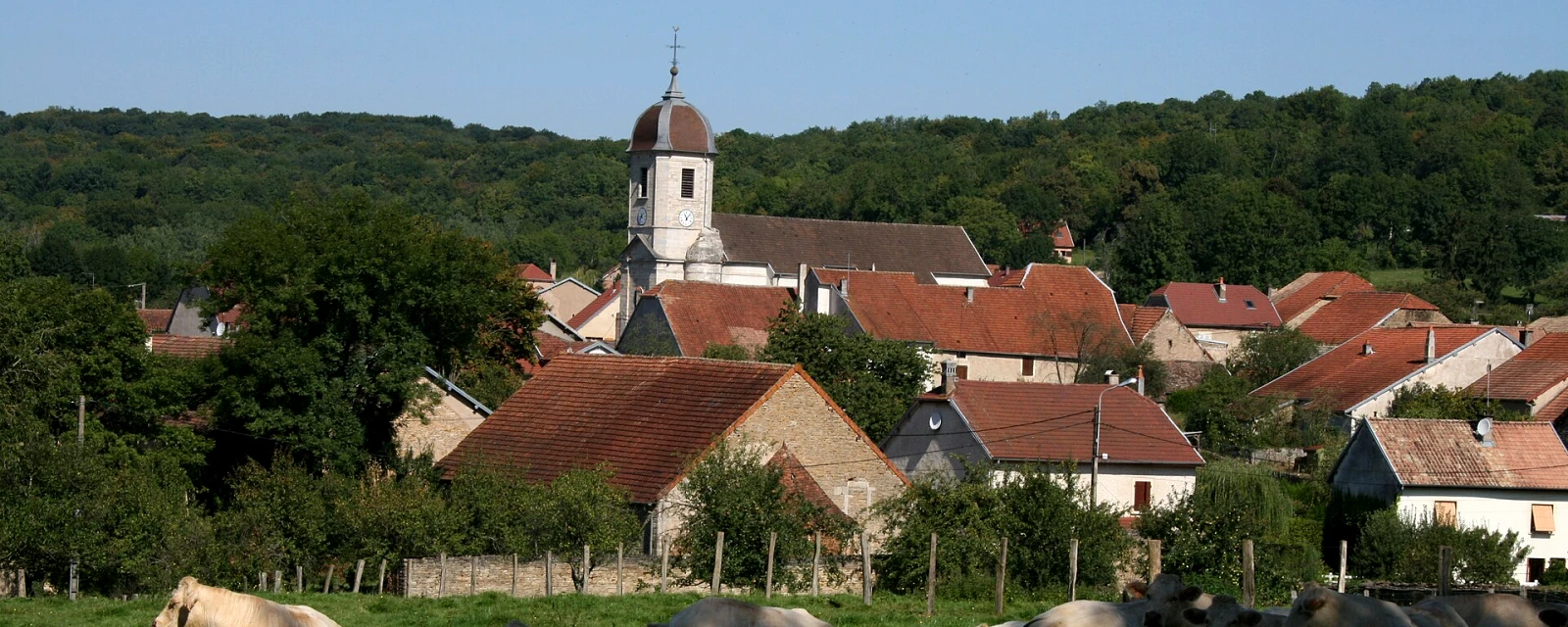 Vue de Borey, Haute-Saône
