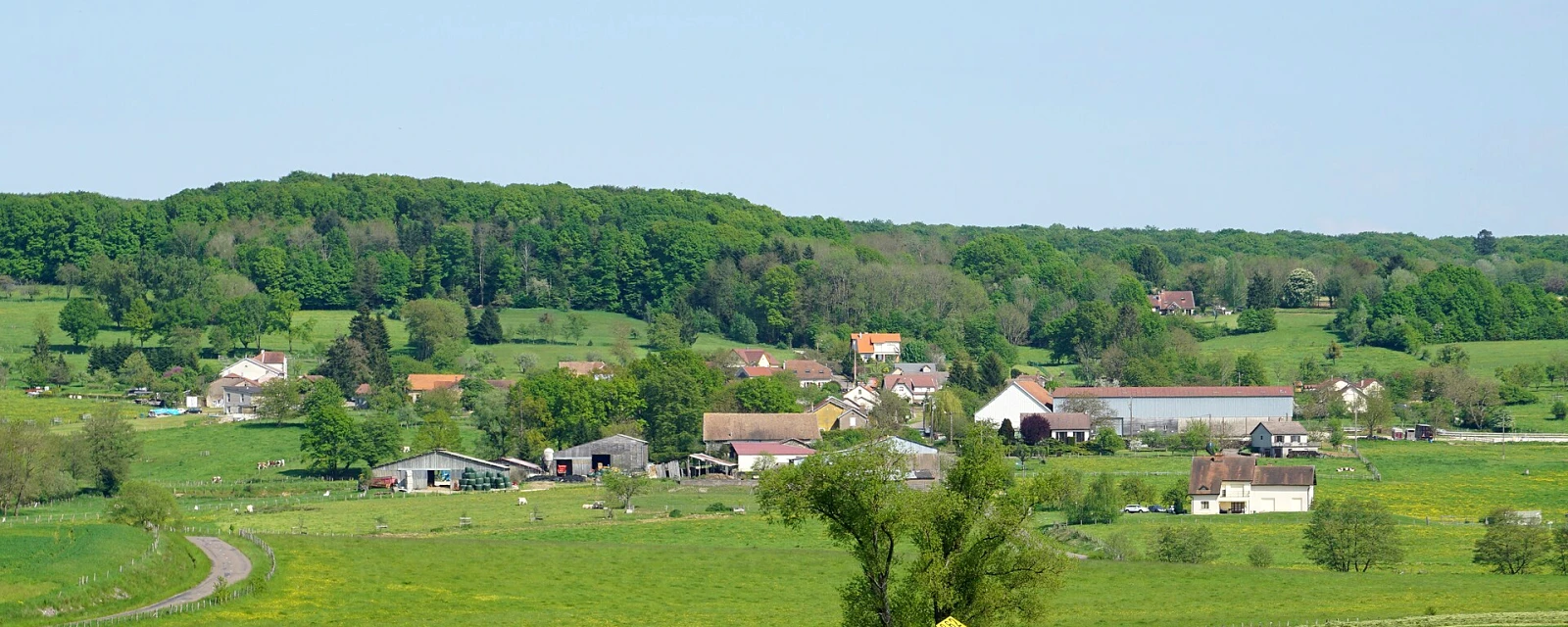 Vue de Châteney, Haute-Saône