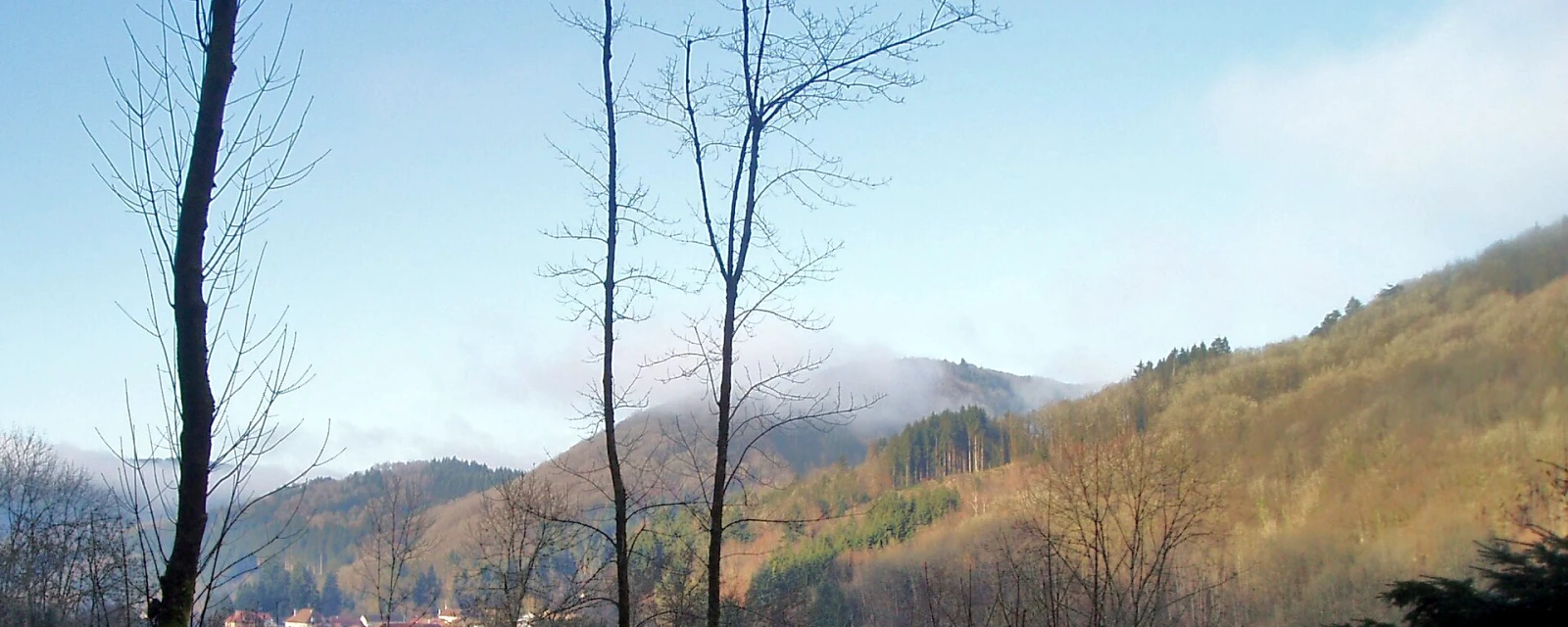 Vue de La Longine, Haute-Saône