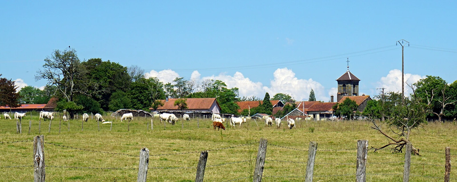 Vue de Servigney, Haute-Saône