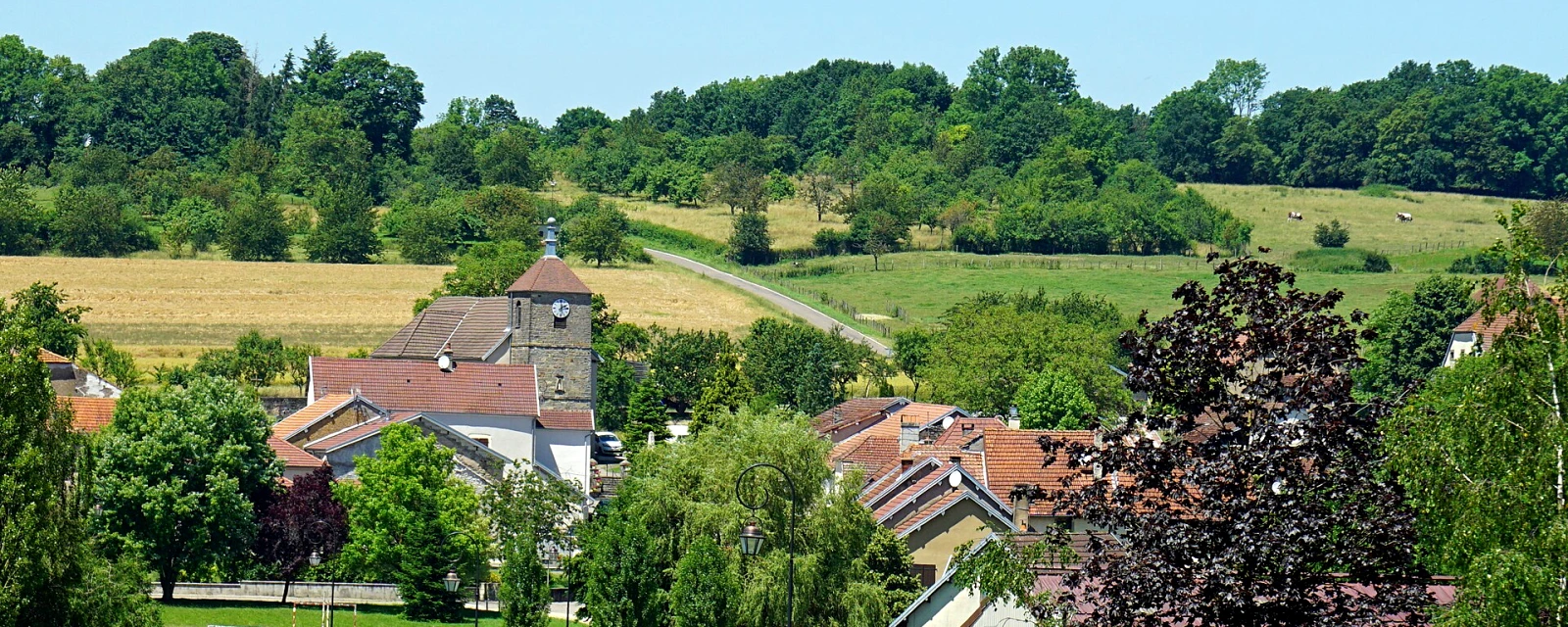 Vue de Vellefrie, Haute-Saône
