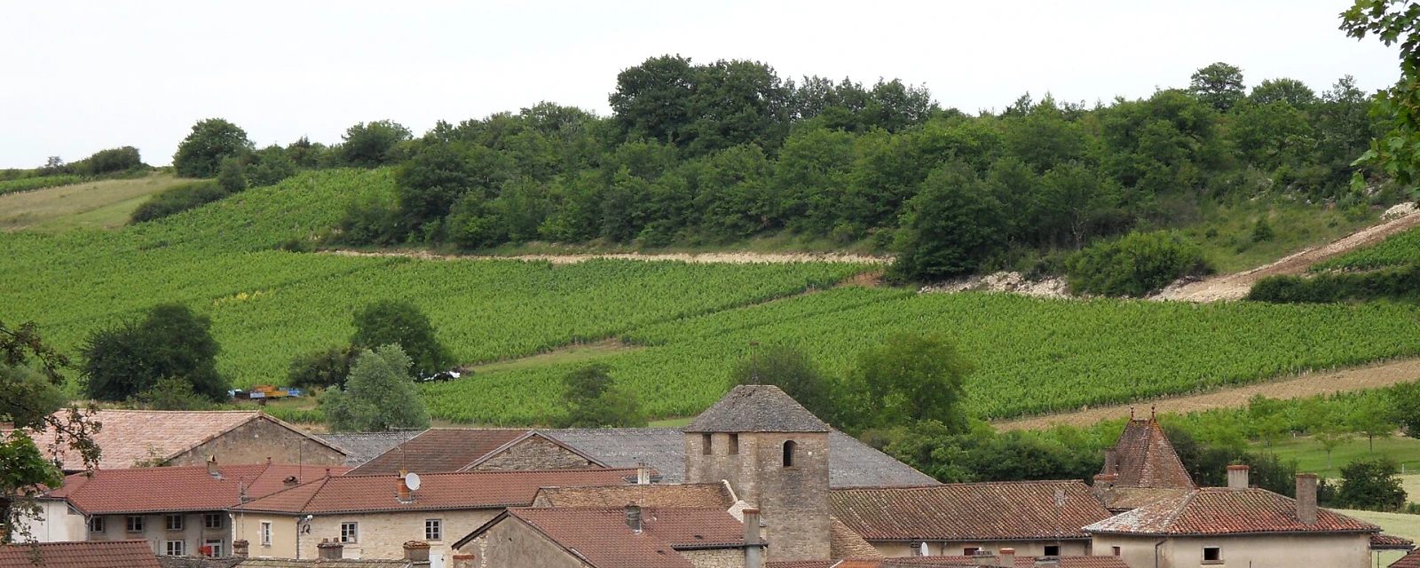 Vue de Bissy-la-Mâconnaise, Saône-et-Loire