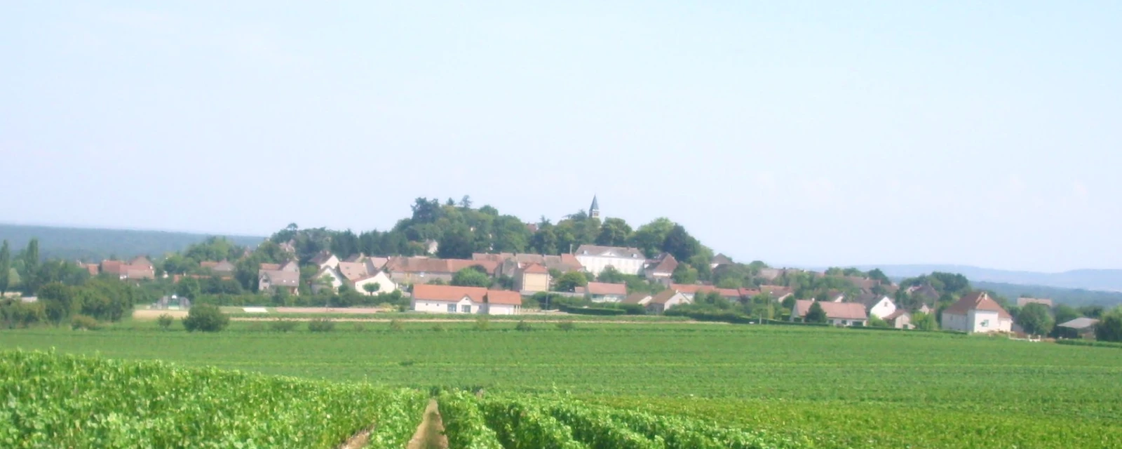 Vue de Jully-lès-Buxy, Saône-et-Loire