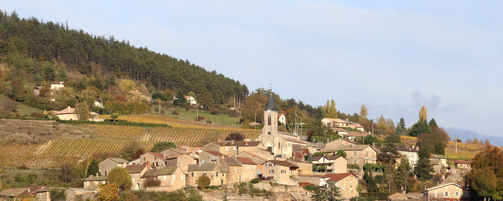 Vue de La Roche-Vineuse, Saône-et-Loire