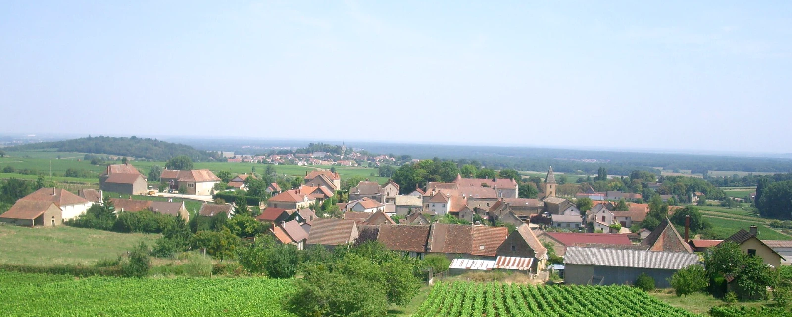 Vue de Saint-Vallerin, Saône-et-Loire