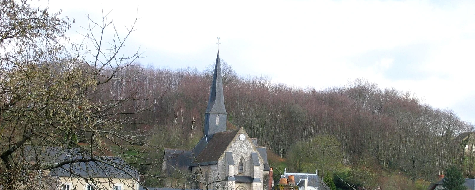 Vue de Beaumont-Pied-de-Bœuf, Sarthe